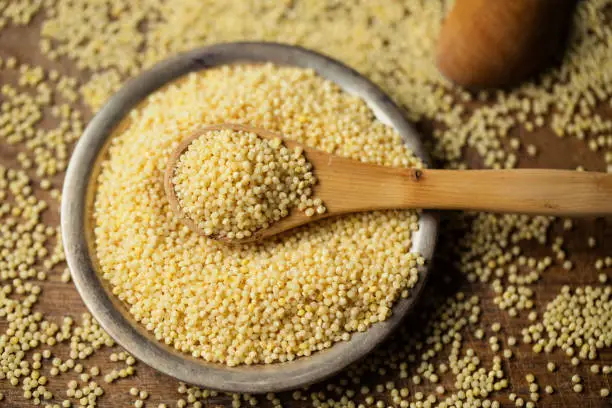 Foxtail millet