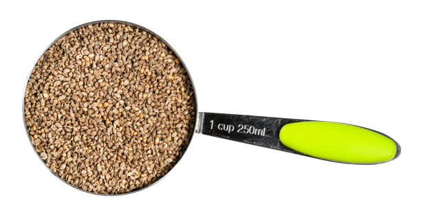 Barnyard millet seeds