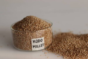 Kodu Millet