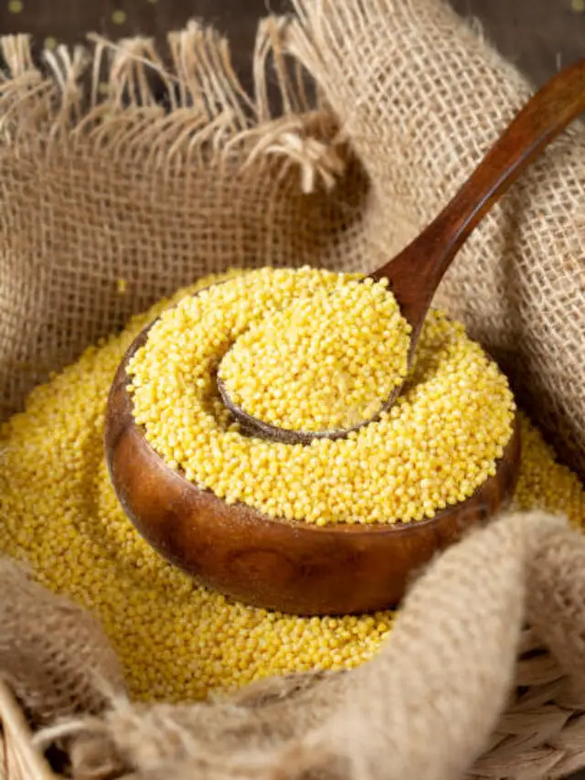 Foxtail Millet – Health Benefits