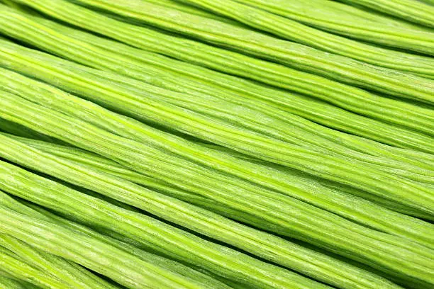 Close up of Moringa 