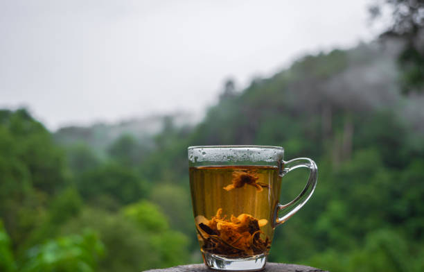 costa rican tea