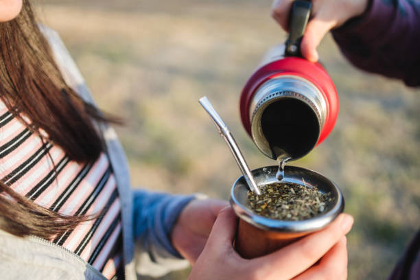 Yerba mate tea Herbal tea