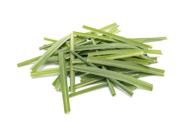 Lemon Grass